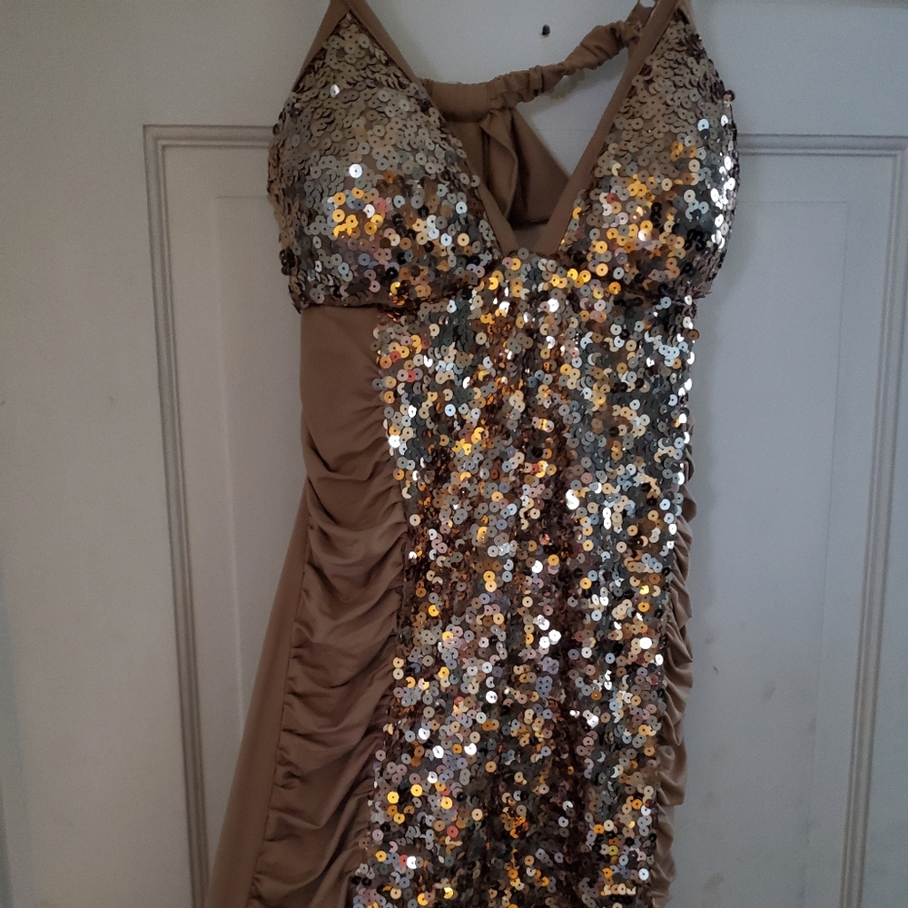 Gold Sparkle Form Fitting Dress